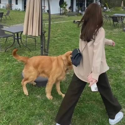 麦克
